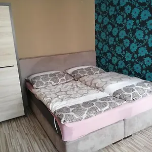  Apartmán 1+1 V Karlových Varech